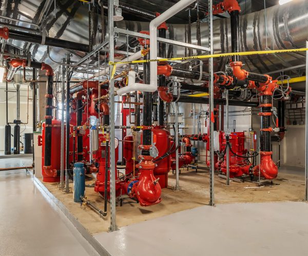 Al-Madinah_2025 (19)