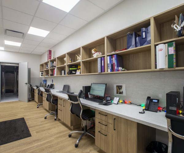 Canine Companion Clinic (6)