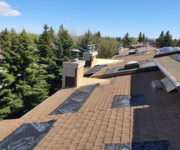 Canterbury Manor (8)