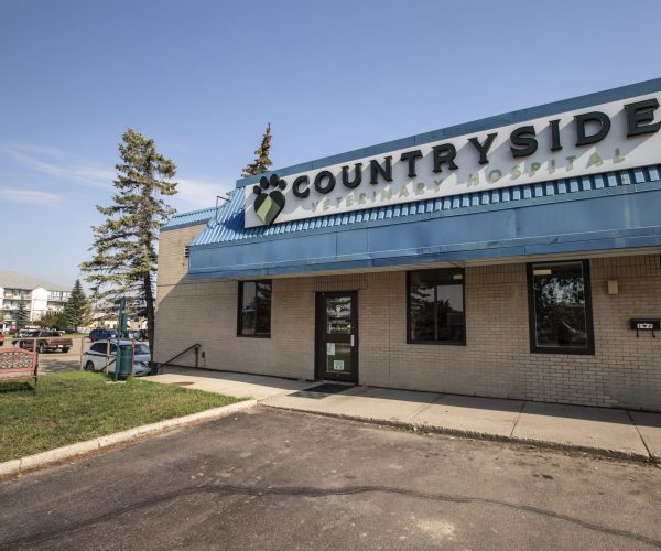 Countryside Veterinary Hospital (1)