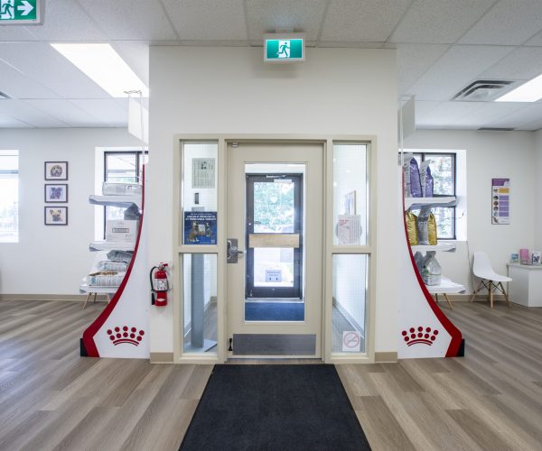 Countryside Veterinary Hospital (10)