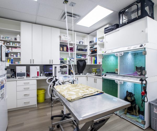 Countryside Veterinary Hospital (5)