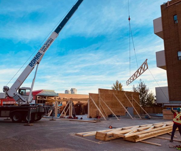 Westland Vet Clinic 2