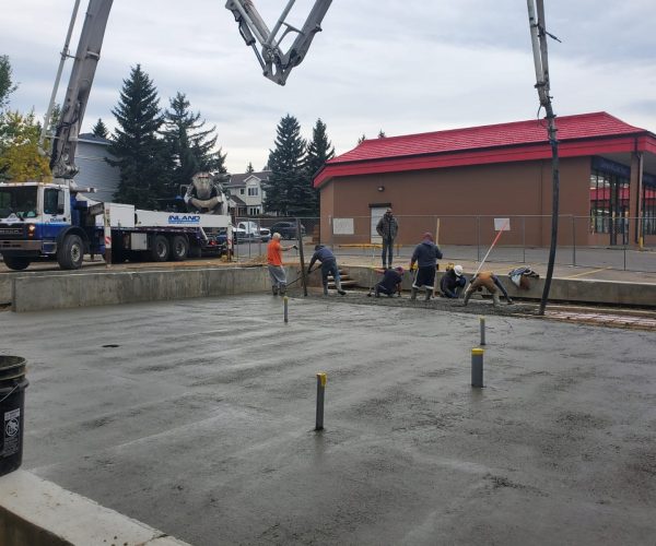 Westland Vet Clinic 6